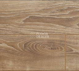 Ламинат Alsafloor Solid Plus ДУБ БАЛЕАРСКИЙ 622 фото 1 | FLOORDEALER